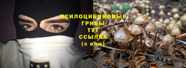 кокс Аркадак