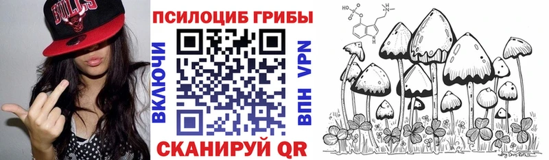 Псилоцибиновые грибы Psilocybine cubensis  OMG как войти  Похвистнево  дарнет шоп 